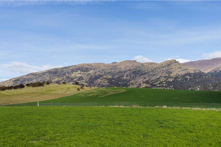 Lake McKay Station Luggate_7