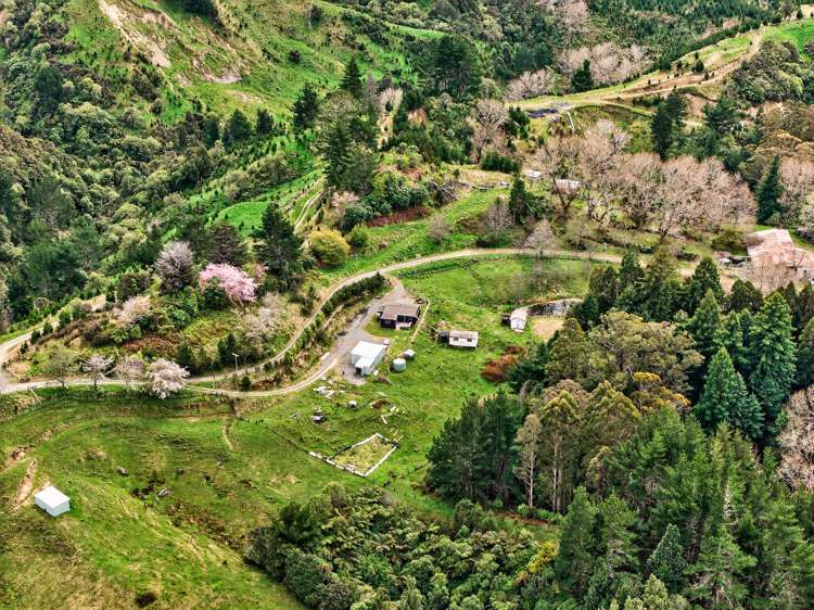 3086 Tuahu Road Tauwhareparae_3