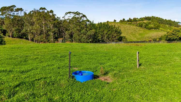 529 Frankley Road Hurworth_36