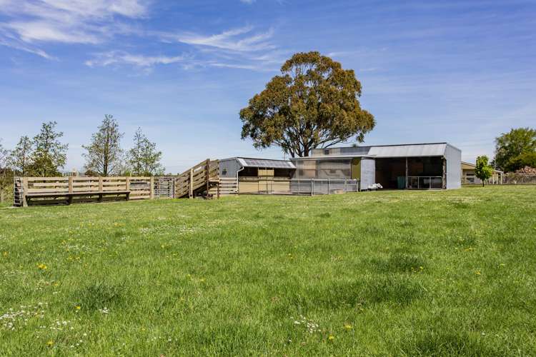 178 Beatties Road Ashley_11