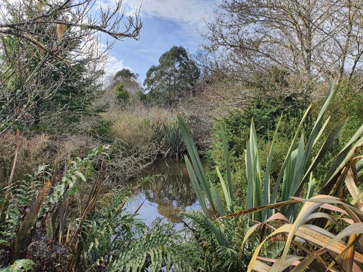 70 Russell Road Kaniere_11