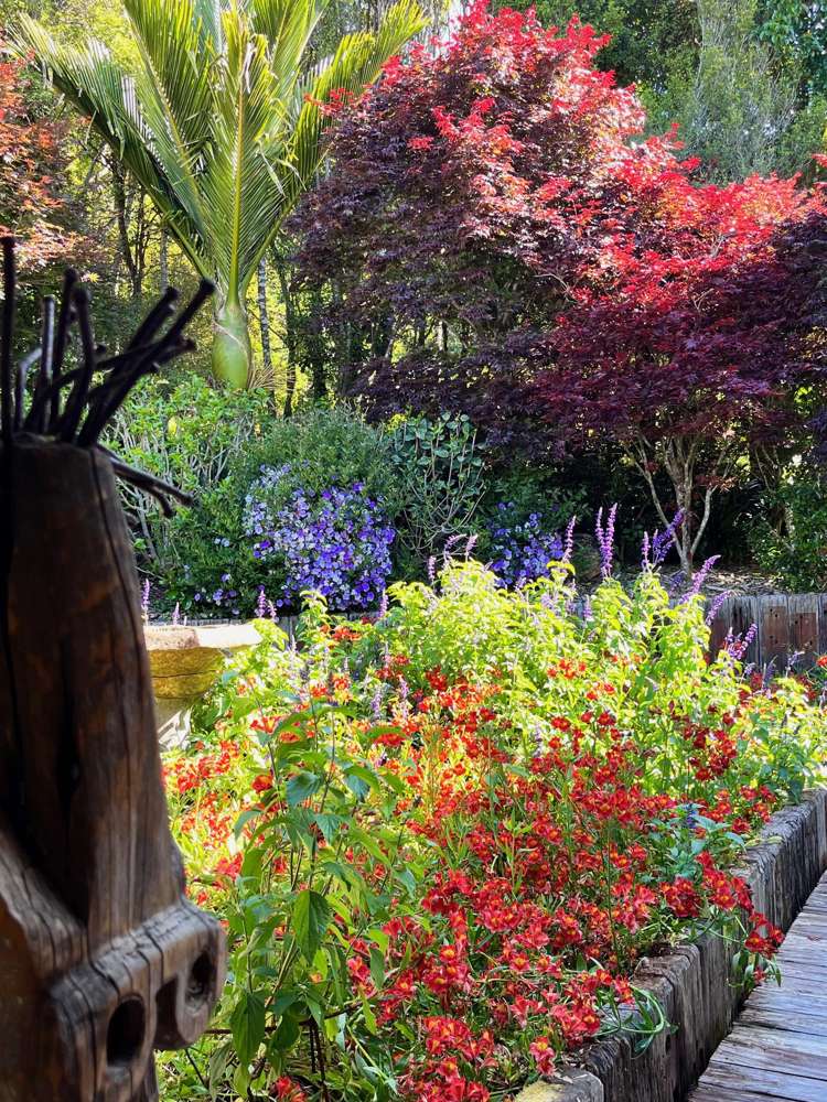 100 Margaret Reeve Lane Waiheke Island_17