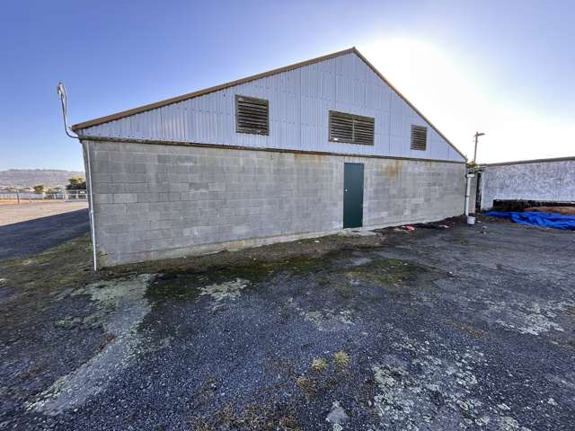 146 Victoria Road South Dunedin_4