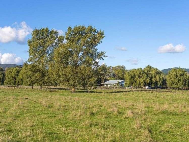 582 Back Ormond Road Makauri_8