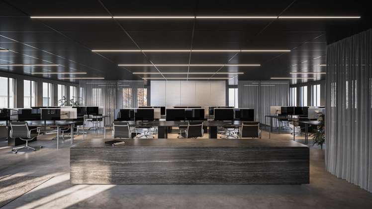 10 Heather Street Parnell_2