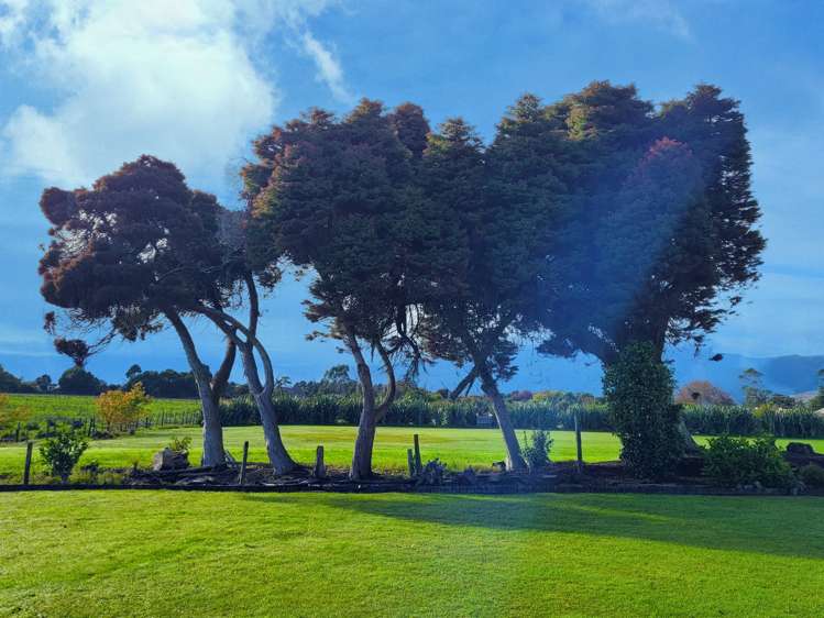 111a Brougham Street Westport_17