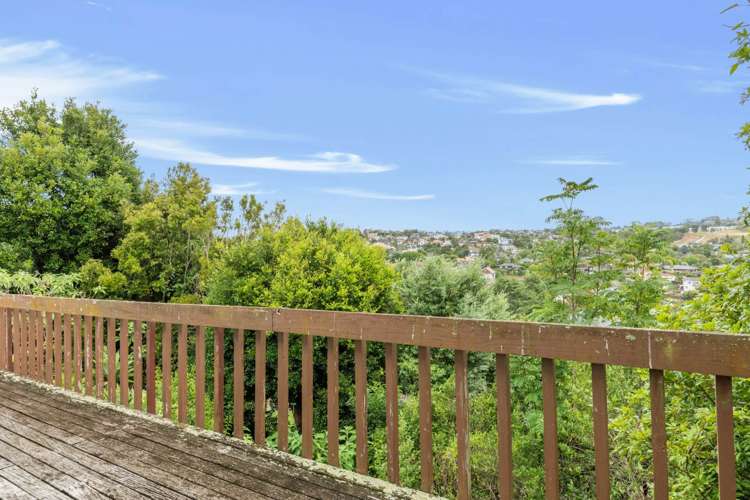 33 Squirrel Lane Browns Bay_21