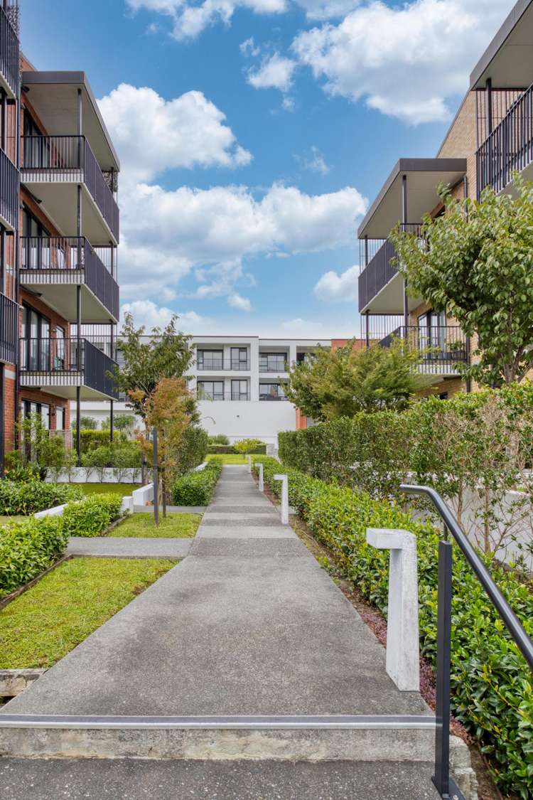 215/81 Mapou Road Hobsonville_16