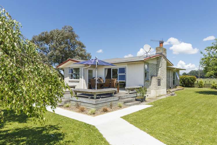 517 Newbury Line Bunnythorpe_18