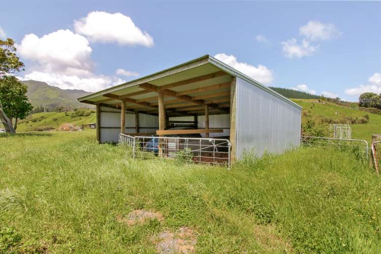 226 Mangahao Road Shannon_23