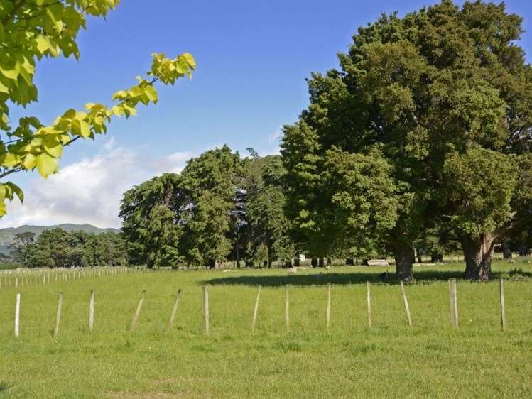 433 Belvedere Road Carterton_20