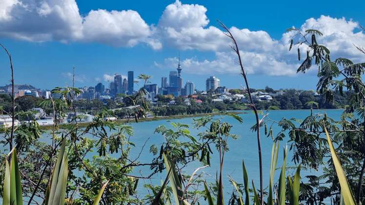 90A Ngataringa Road Devonport_34