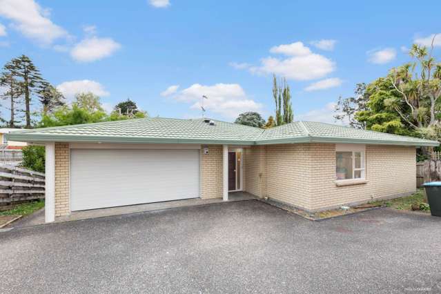 48a Haycock Avenue Mount Roskill_1