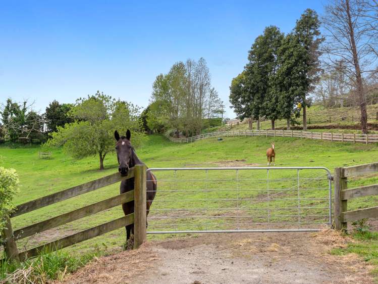 182 Crawford Road Wairoa_5