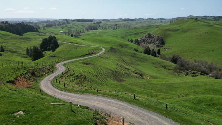 953 State Highway 3 Piopio_23