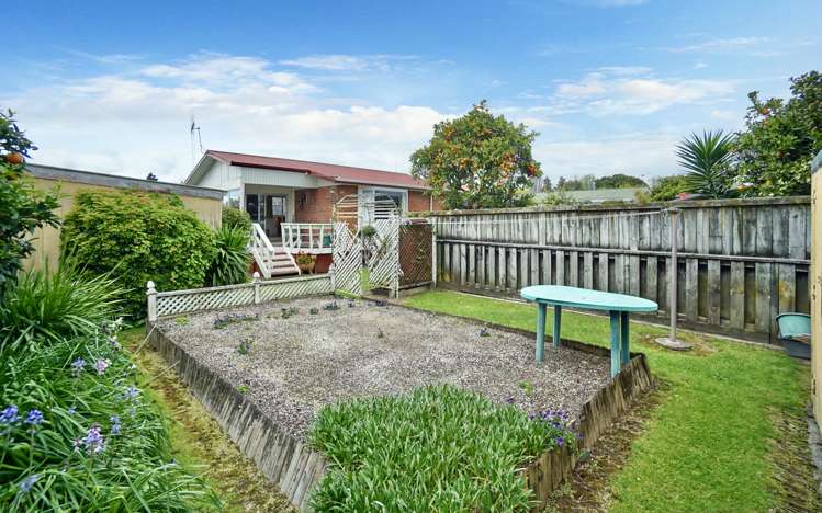 92b Cameron Road Te Puke_18