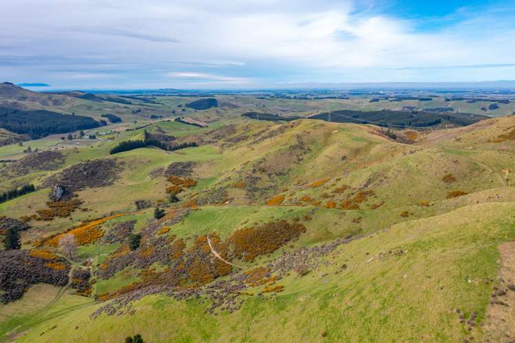 411 Waianiwaniwa Road Sheffield_14