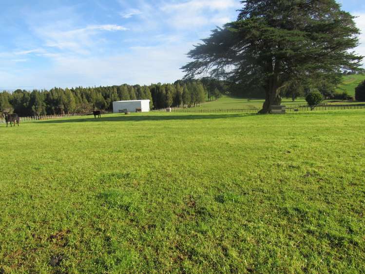 5573 State Highway 12 Kaikohe_9