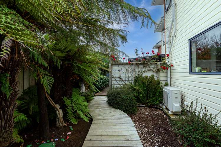 6 Morell Street Georgetown_23