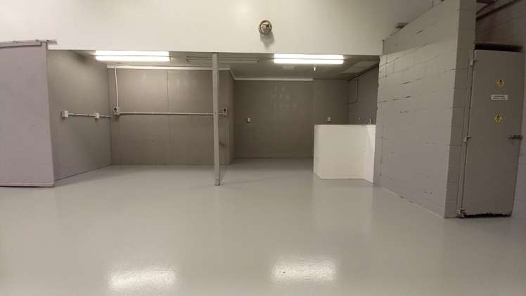 1/4 Amokura Street Henderson_4