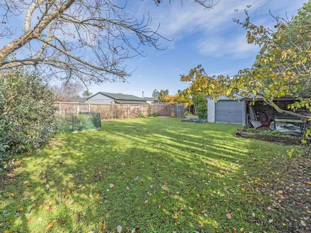 112 East Belt Lincoln_4