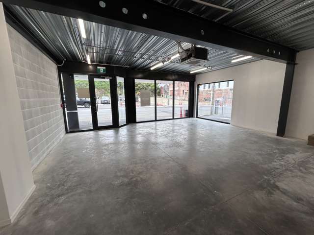 175 Rattray Street Dunedin Central_1