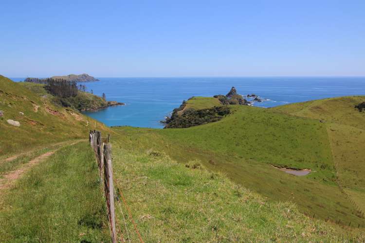 Mahinepua Road Mahinepua Peninsula_22