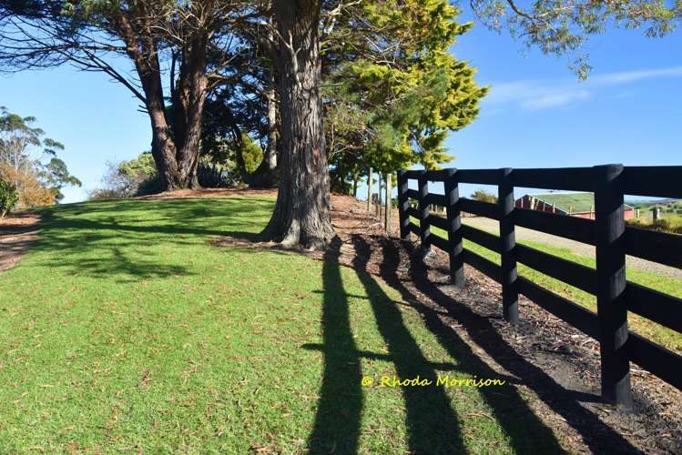 330 Franklin Road Paparoa_59