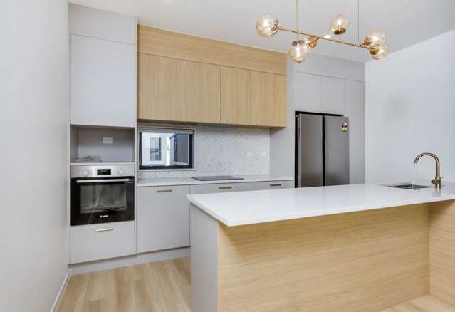 12 Papa Takaro Lane Flat Bush_1