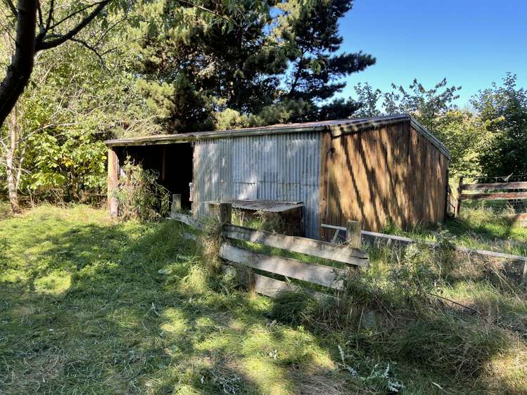 37 Knoll Street Milton_9