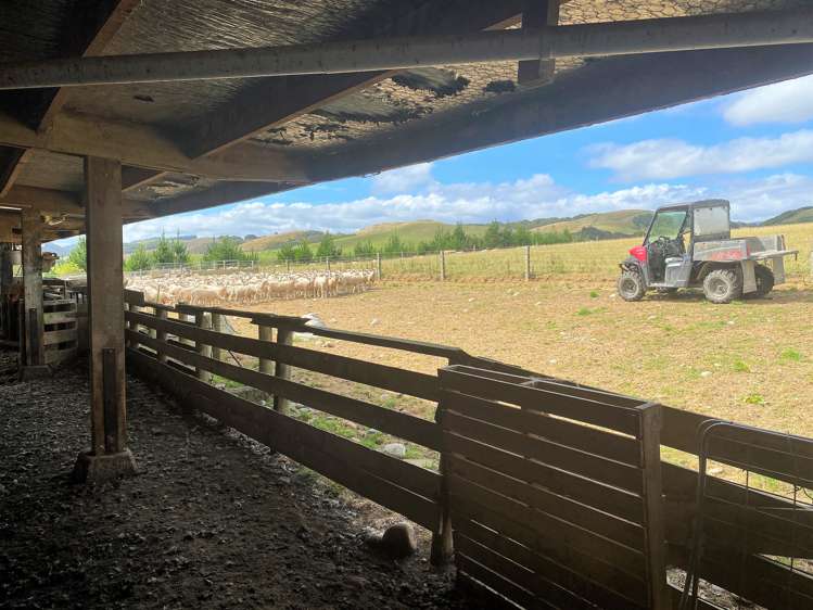 111 Gully Road Tuatapere_10