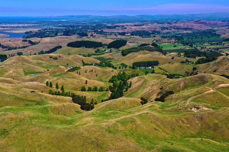 754 Puketitiri Road Puketapu_22
