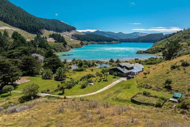 528 Oyster Bay Marlborough Sounds_4