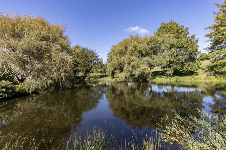 1226 State Highway 16 Waimauku_38