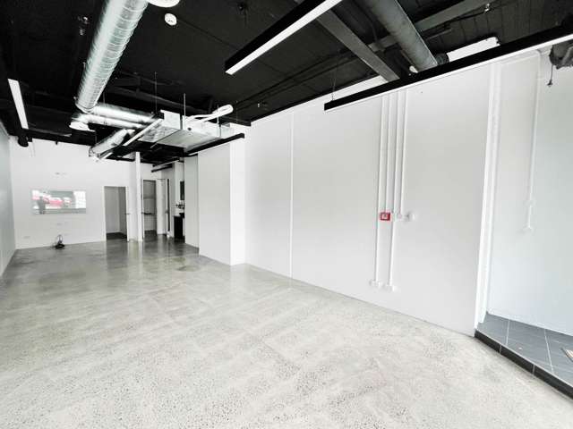 Unit 2/12 Vinegar Lane Grey Lynn_2