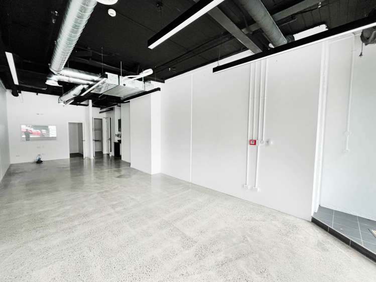Unit 2/12 Vinegar Lane Grey Lynn_2