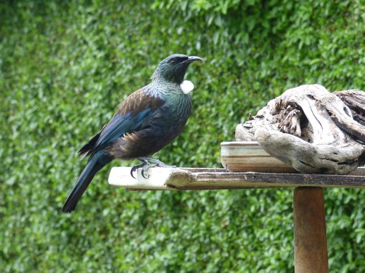 3 Bay Road Riverton_15