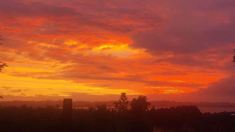 39A Oyster Point Road Kaukapakapa_20