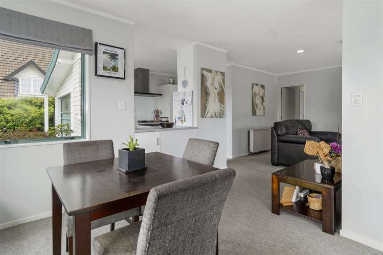 4 Avocet Avenue Maungatapu_7