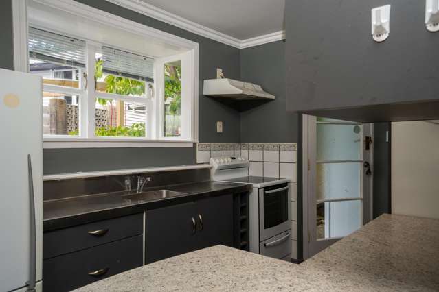 159 Sievers Grove Cannons Creek_3