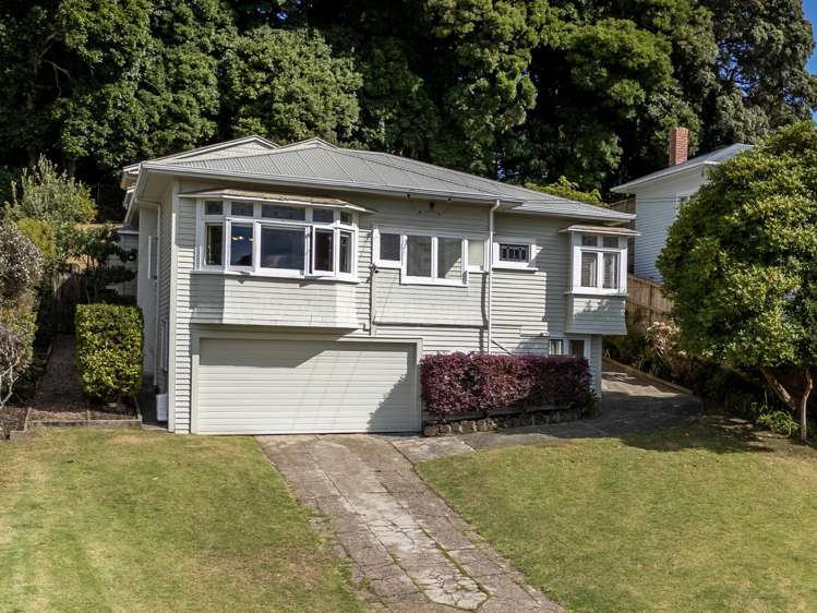 5 Budock Road Hillsborough_0