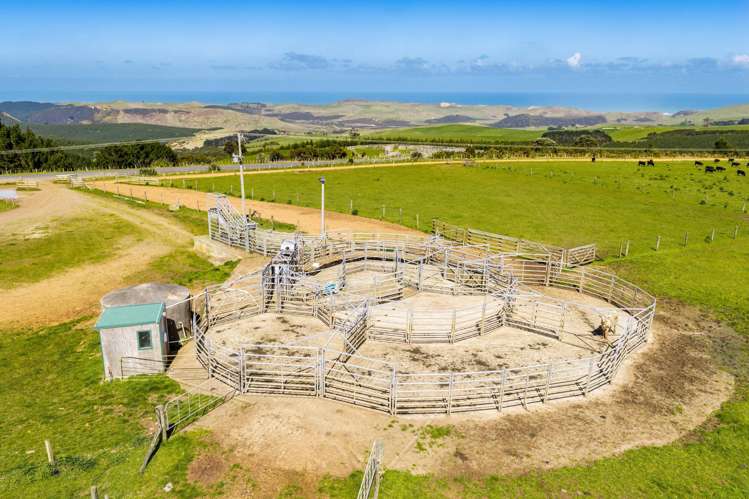 3902 State Highway 12 Dargaville_9