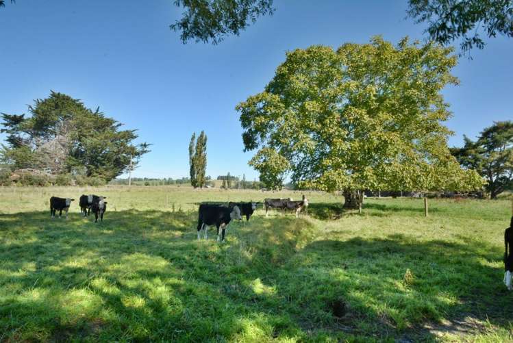 6 Melrose Street Roslyn_24