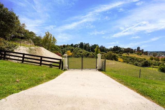56 Tironui Drive Taradale_2