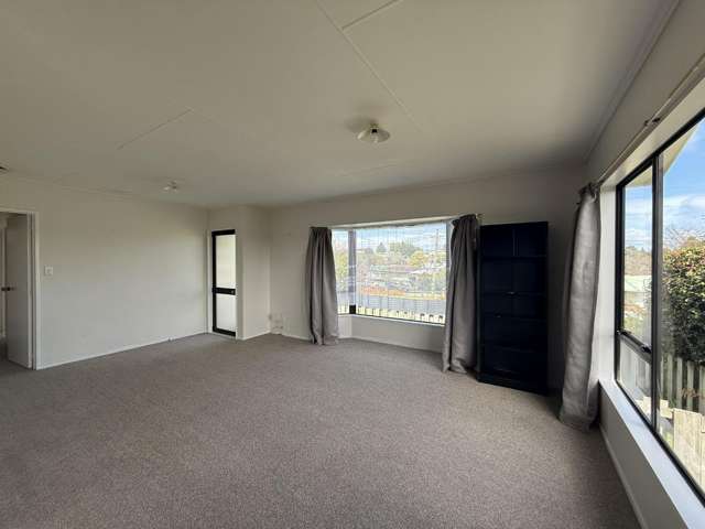 58 Elizabeth Street Tuakau_3