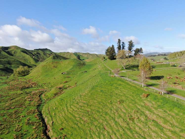 168 Pao Road Aria_14