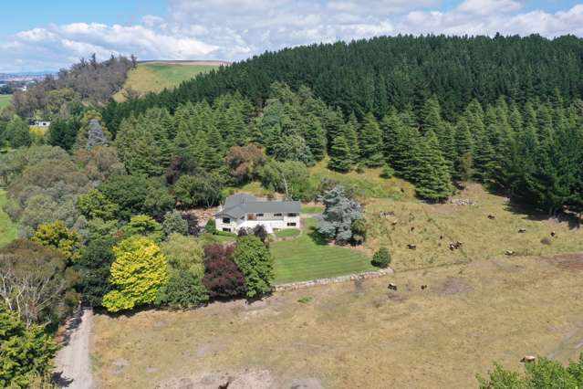 43 Murray Road Pukeuri_1