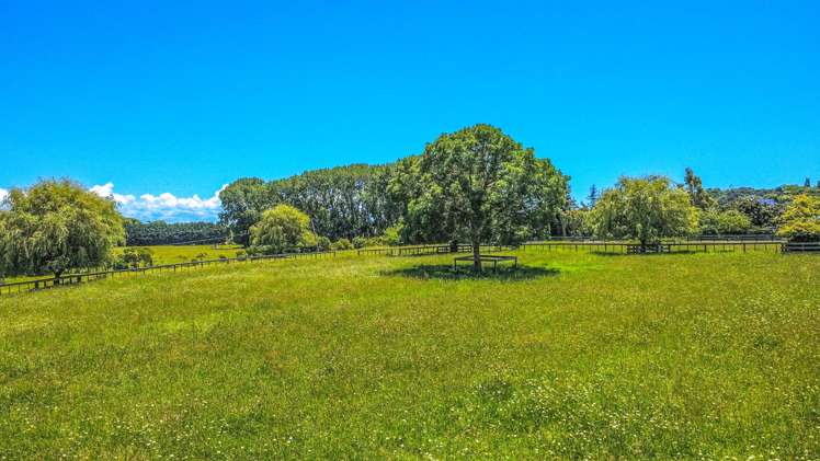 155 Maramarahi Road Thames_34