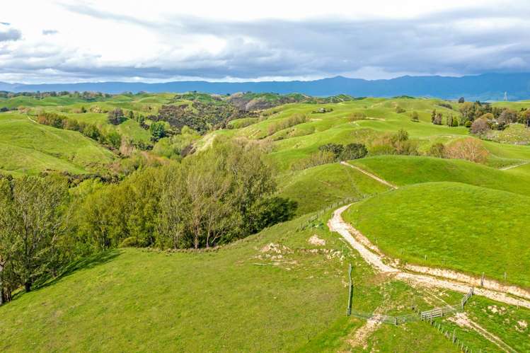 475 Pollock Road Pohangina_7