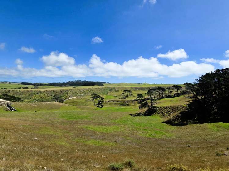 Mount Wesley Coast Road Dargaville_12